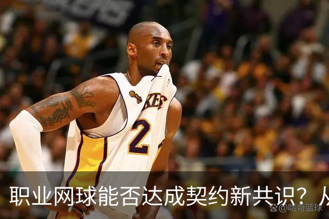 职业网球能否达成契约新共识？从抗议到私下谈判的演变